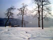 写真/野尻湖冬の朝01