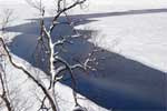 野尻湖凍る17